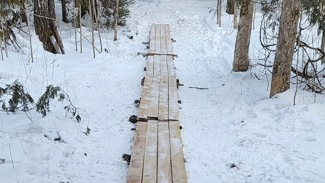 Cedar Bog Trail