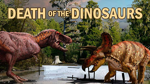 Dinosaur Safari
