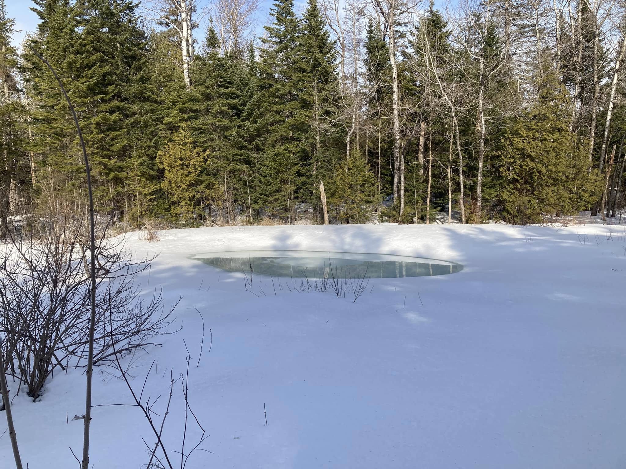 Explore Vernal Pools